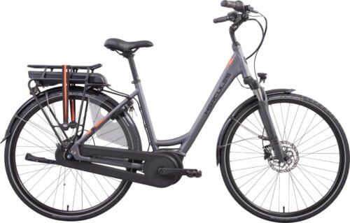 Nizza F7 NL
